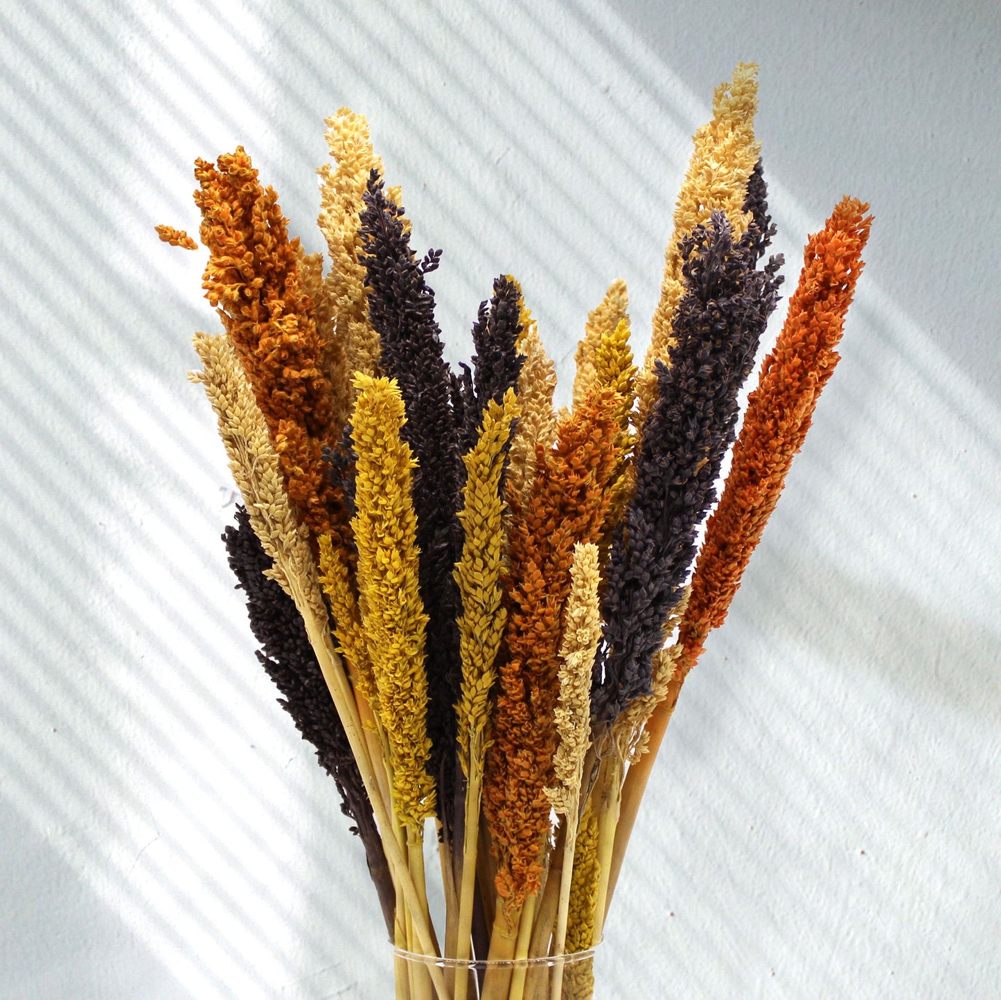 Cantal Grass Bunch - Orange