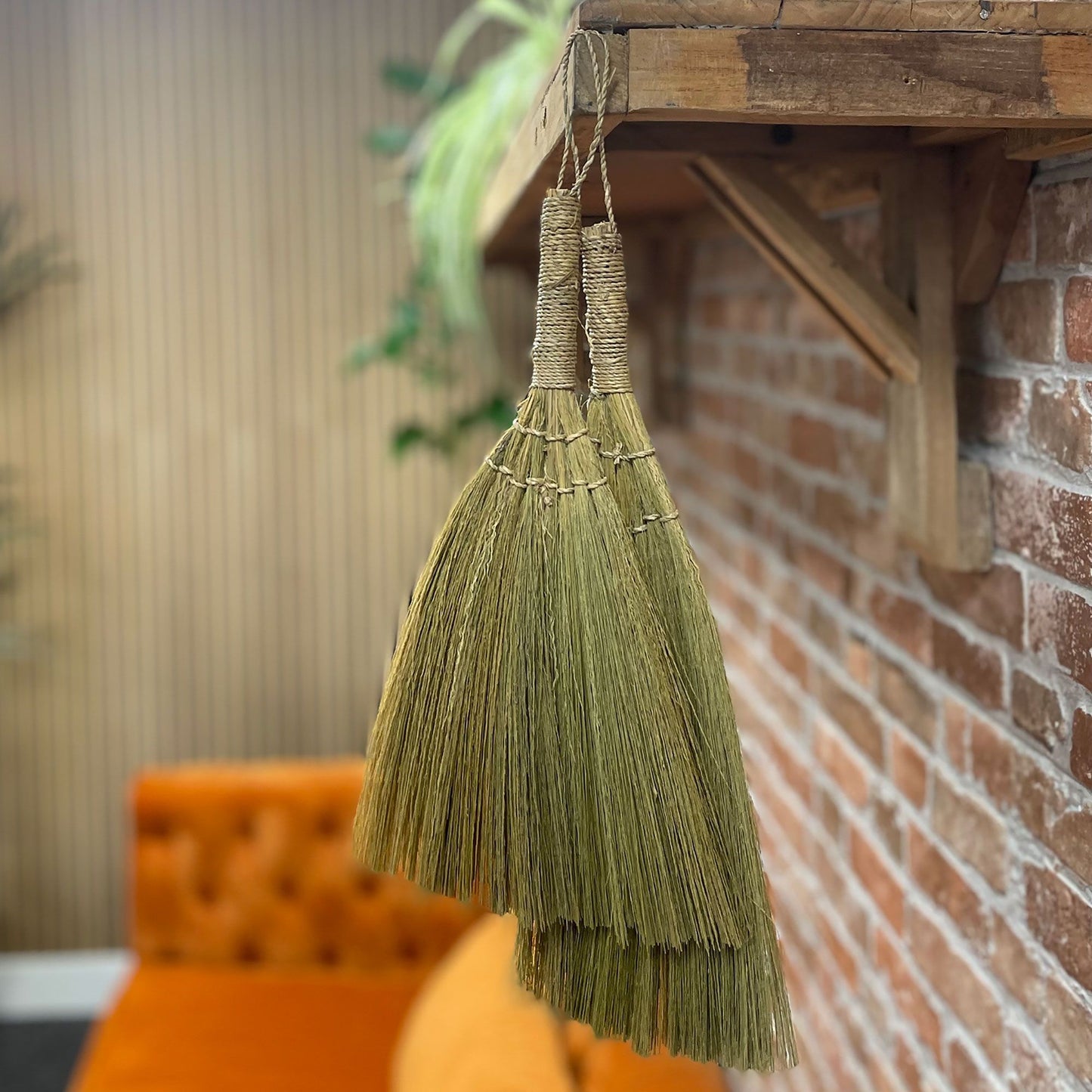 Set 4 - Pampas Fan Broom - Natural mixed sizes