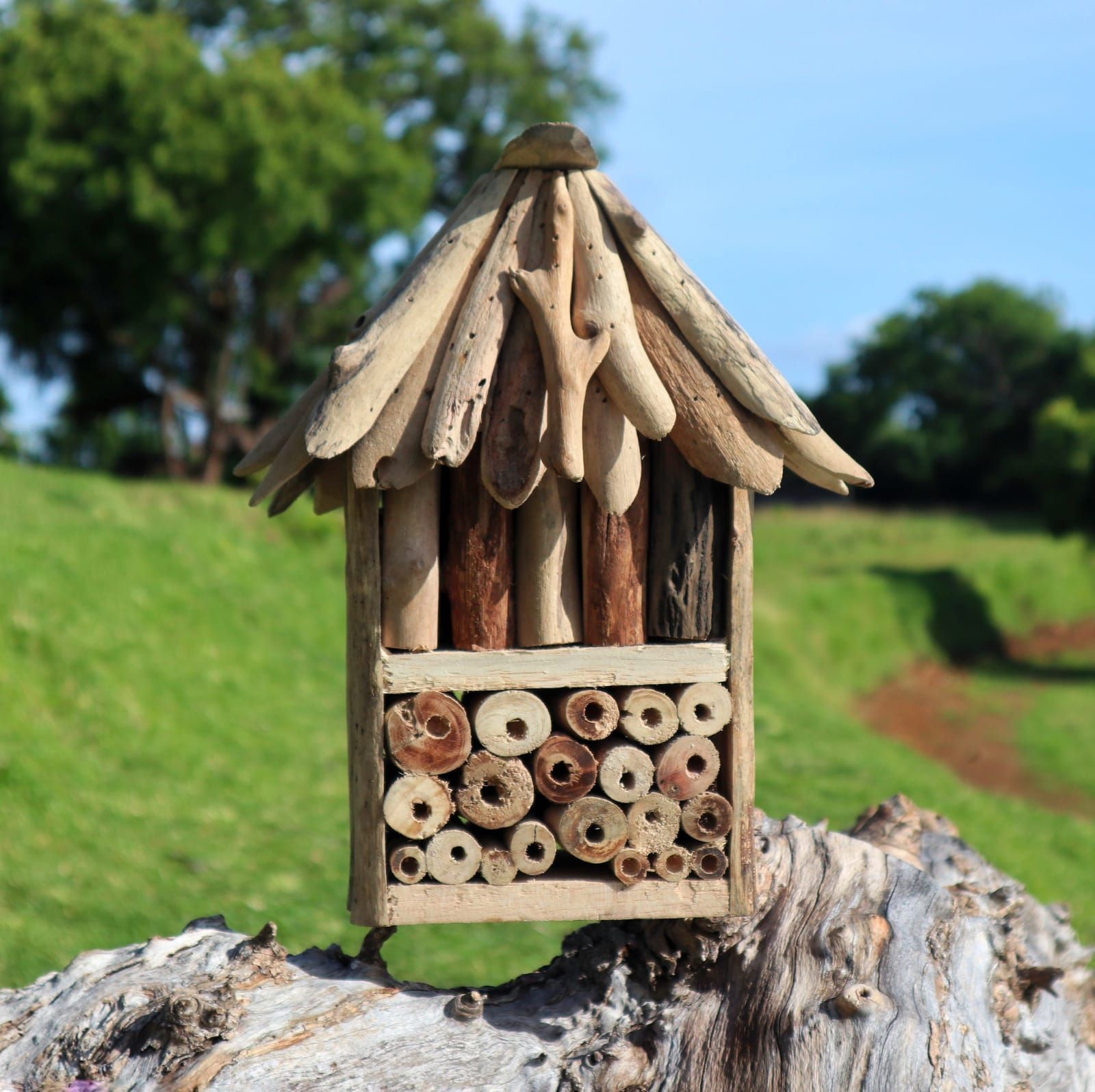 Driftwood Bee & Insect Double Box