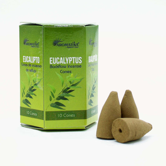Masala Backflow Incense pack of 10 - Eucalyptus