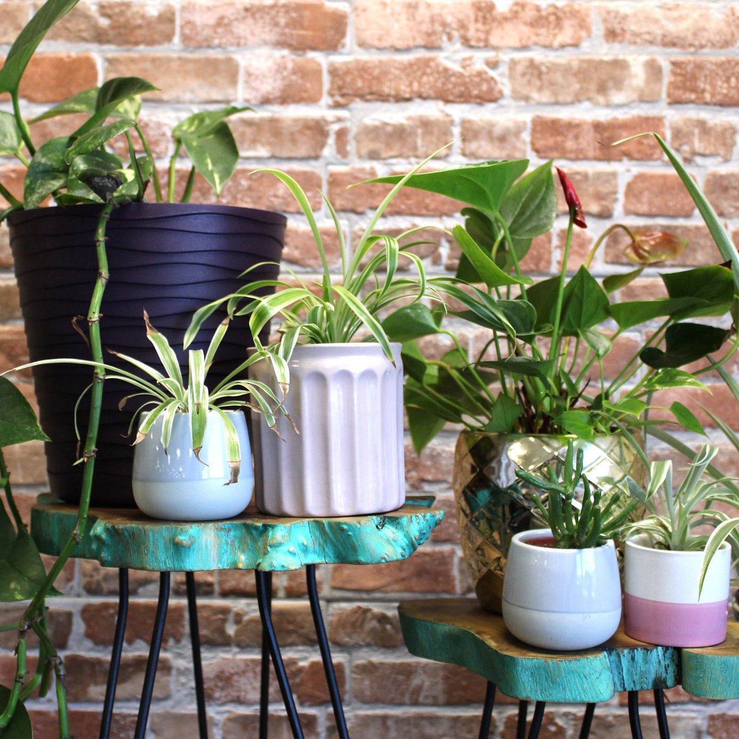 Set of 3 Gamell Wood Plant Stands - Greenwash