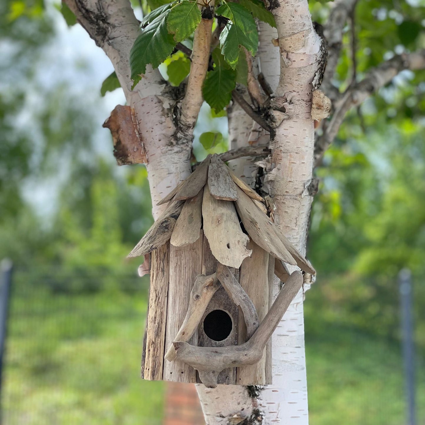Driftwood Birdbox - Wallhanging