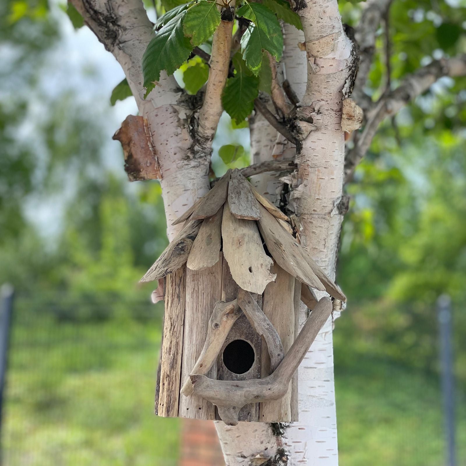 Driftwood Birdbox - Wallhanging